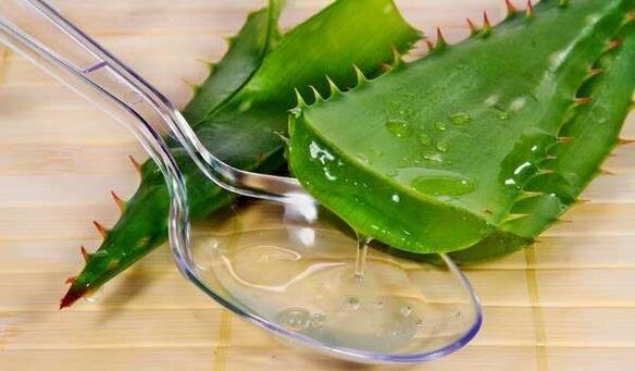 Aloe vera promotes penis growth